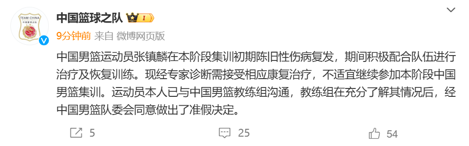 🎤中国篮球之队:张镇麟集训初期陈旧性伤病复发需接受治疗 队委会同意准假